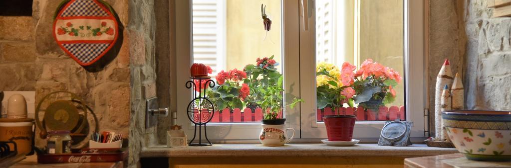 B&B Petra Triest Zewnętrze zdjęcie